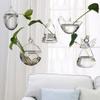 Creative Hanging Ball Glass Flower Glass Vase Hydroponics Plant Pot Terrarium Container Garden Supplies Party Home Decoration