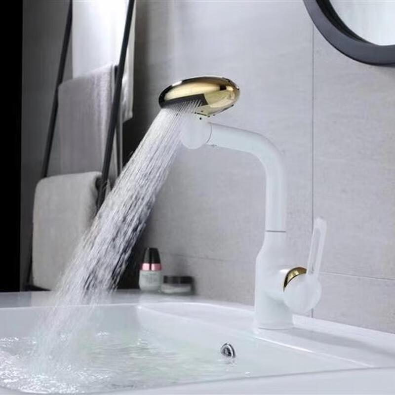 TLXT Hot & Cold Swivel Basin Faucet