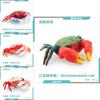 Pvc Fiddler Crab Collection Model Marine Animal Figurine For Aquarium Display And Gift