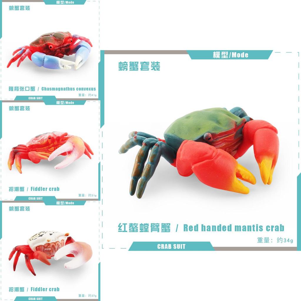 Pvc Fiddler Crab Collection Model Marine Animal Figurine For Aquarium Display And Gift