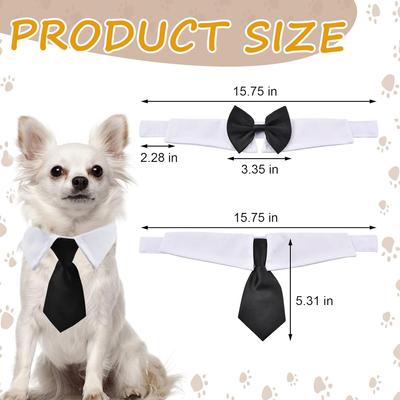 Giyim ve ayakkabı – Köpek Aksesuarları
