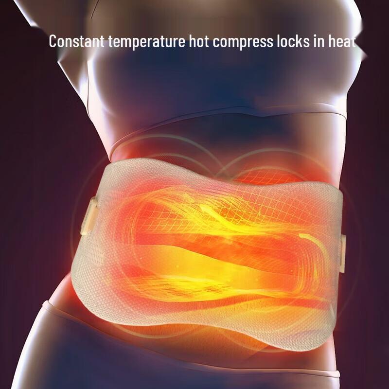 HEZHENG Heated Lumbar Support Massager Y5 CN plug (adapter included)