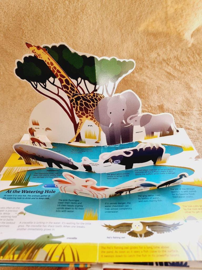 [USED] Ultimate: Savanna Animals Pop-up Book