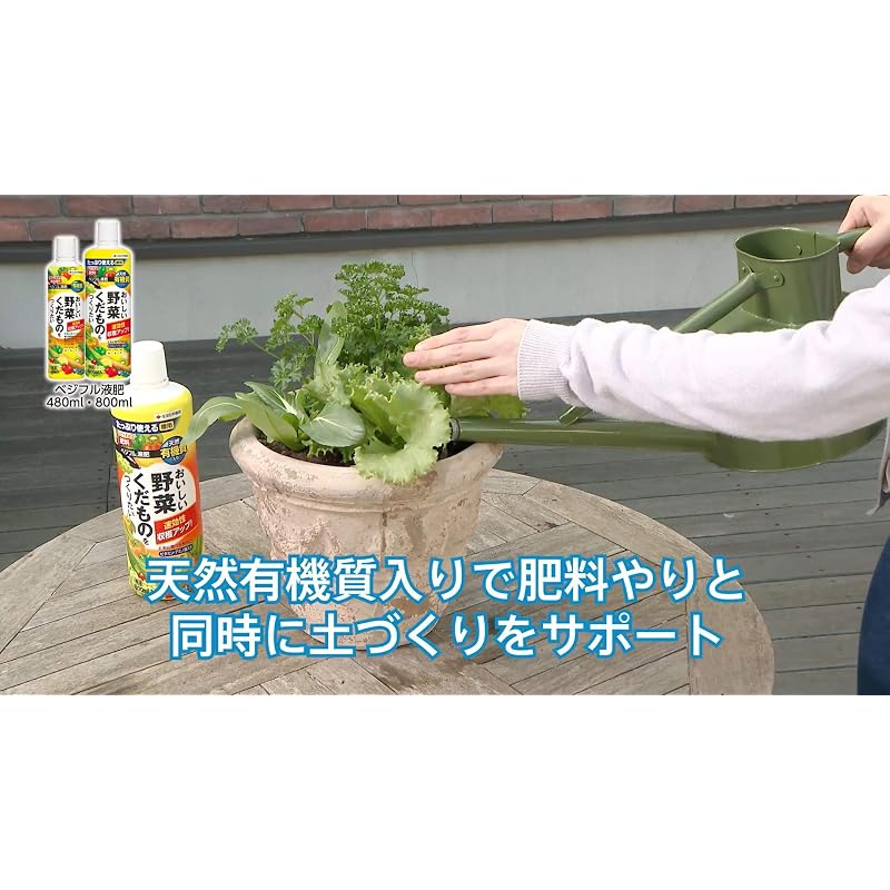 KINCHO Gardening Fertilizer, Veggie & Fruit Liquid Fertilizer 800ml, Organic, for Vegetables, Fruit Trees, and Fruits