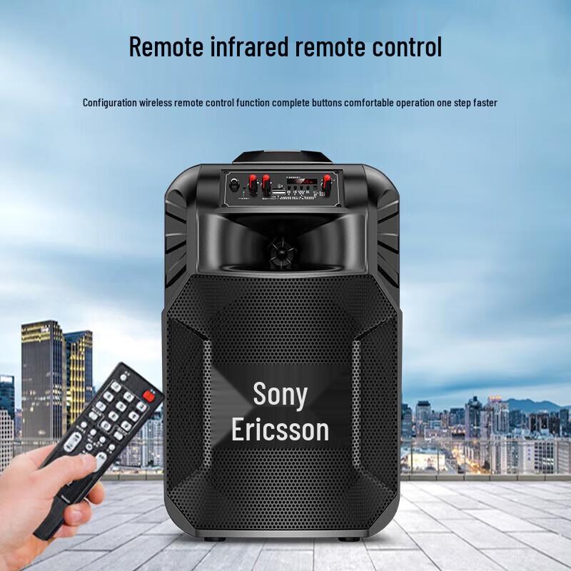 Soaiy SA-T25 Portable Bluetooth Karaoke Speaker