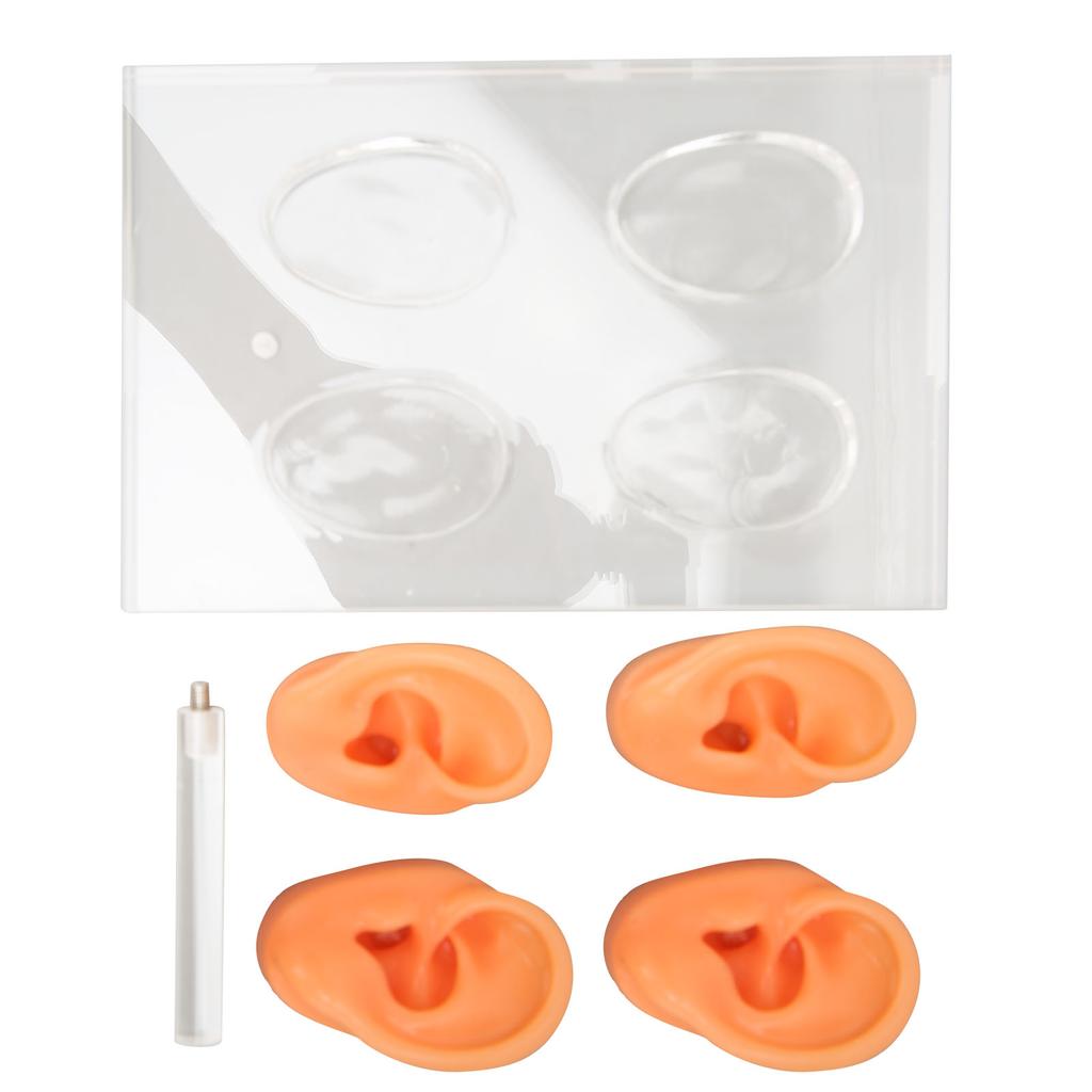 Modelo de Oreja Humana Modelo de Oreja de Silicona con Soporte Acrílico para Instrucciones de Enseñanza Exhibición de Escaparate