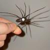 Realistic Magnetic Spiders Decoration Spiders Refrigerator Magnets Magnetic SpidersDecoration For Indoor and Outdoor Use