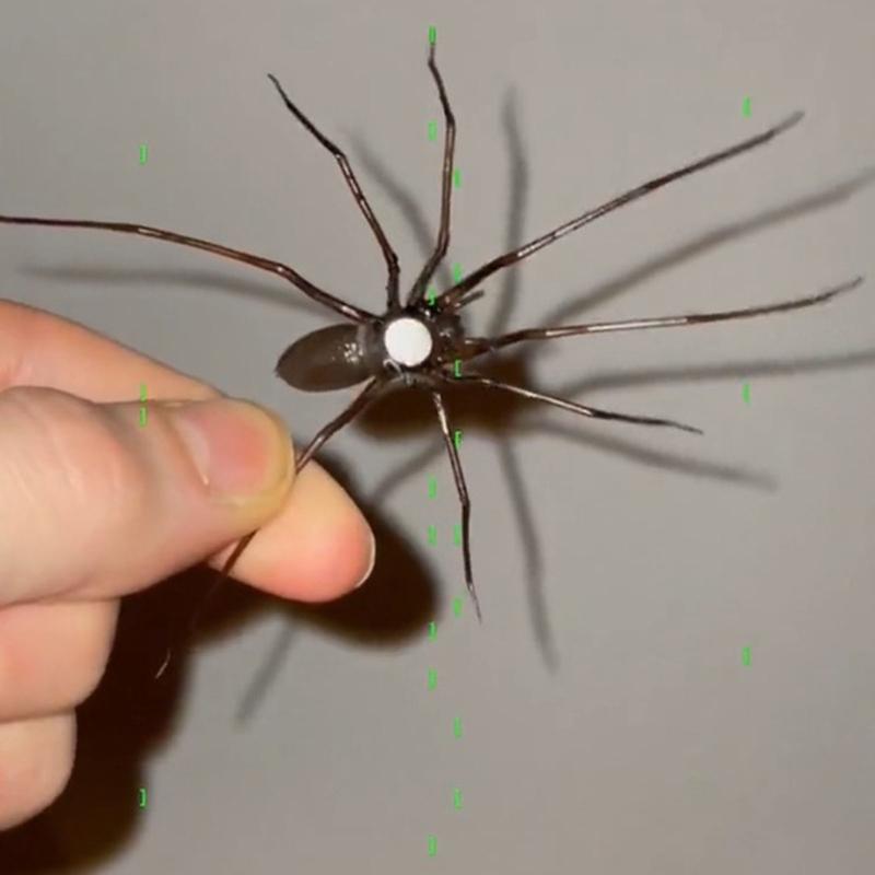 Realistic Magnetic Spiders Decoration Spiders Refrigerator Magnets Magnetic SpidersDecoration For Indoor and Outdoor Use