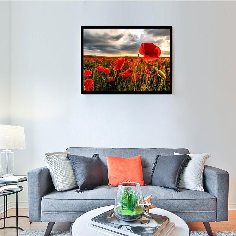 Gjør-det-selv Valmue Scenery 5D Diamantmaleri Hel Rund Drill Mosaikk Landskap Diamantbroderi Blomster Korssting Julegave