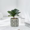 Japanese Embossed Cement Planter: Indoor Formaldehyde-Absorbing, Air-Purifying, Breathable Pot for Green Plants