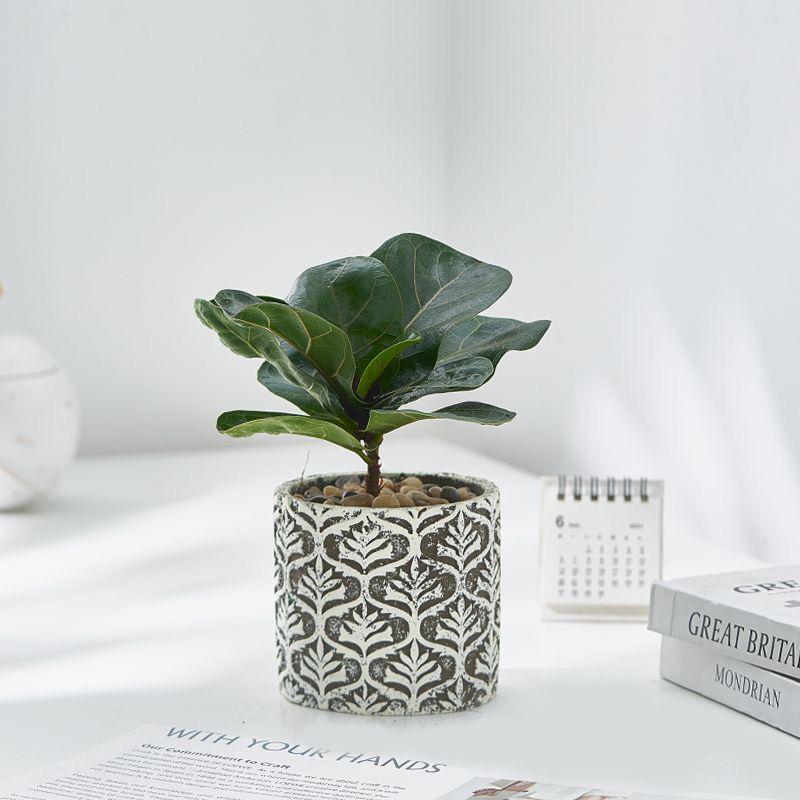 Japanese Embossed Cement Planter: Indoor Formaldehyde-Absorbing, Air-Purifying, Breathable Pot for Green Plants