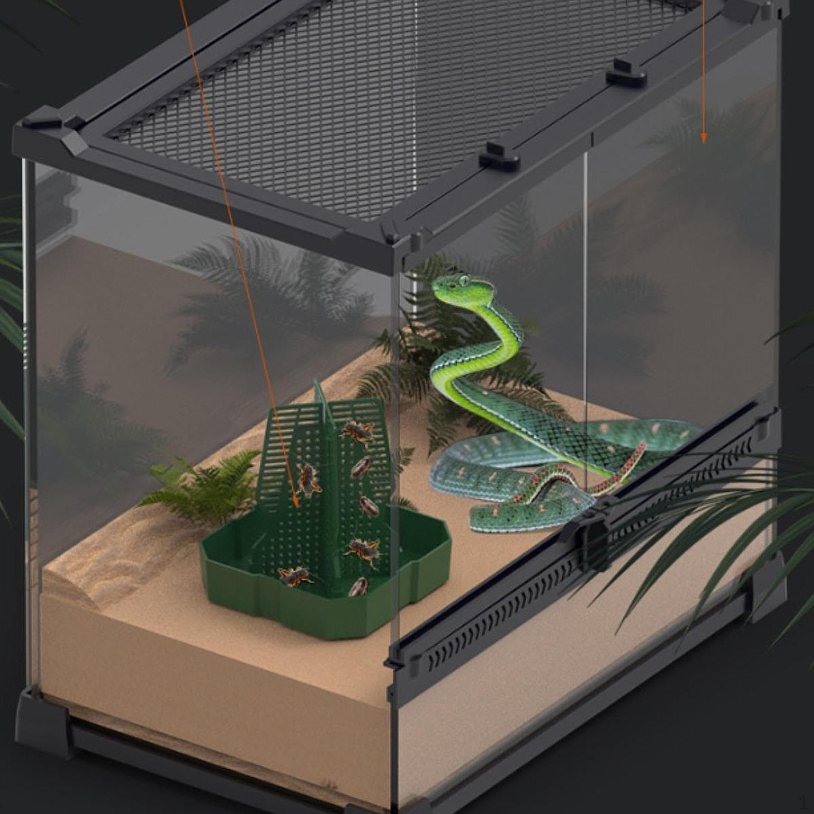 

Кормушка для хамелеонов, бородатых агам, миска для корма, на которую можно залезть, для рогатой лягушки-геккона зелёный