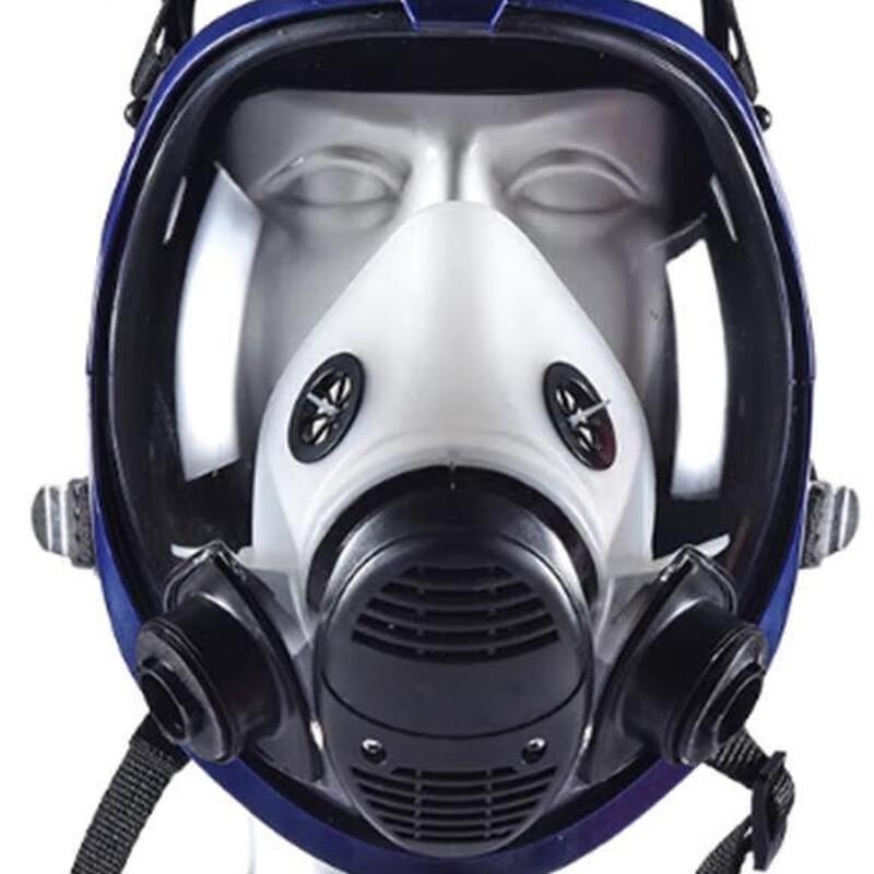 Hulidun CF6800A Full Face Respirator Mask