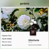 High-End Gardenia Aroma Oil: Long-Lasting Home Fragrance for Bedroom, Hotel, Bathroom, and More