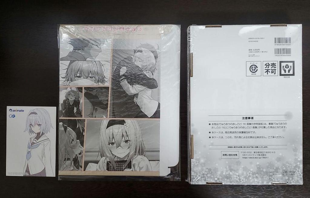 [USED] The Ryuo's Work Is Never Done! 16 Special Edition with Artbook, with Animate Bonus