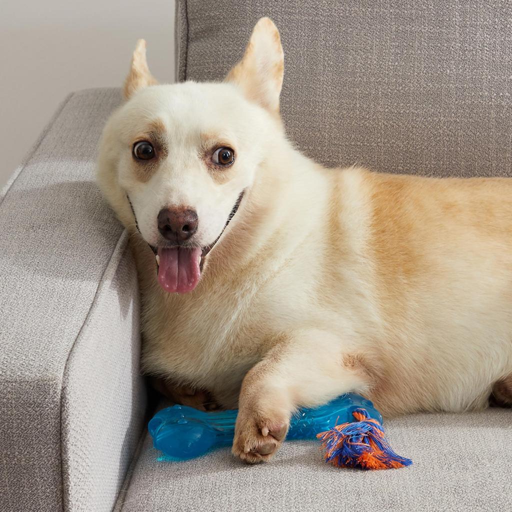 Petstages Orca Bone PTPS230
