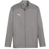 Puma Childrens/Kids TeamFinal Performance Training Jacket