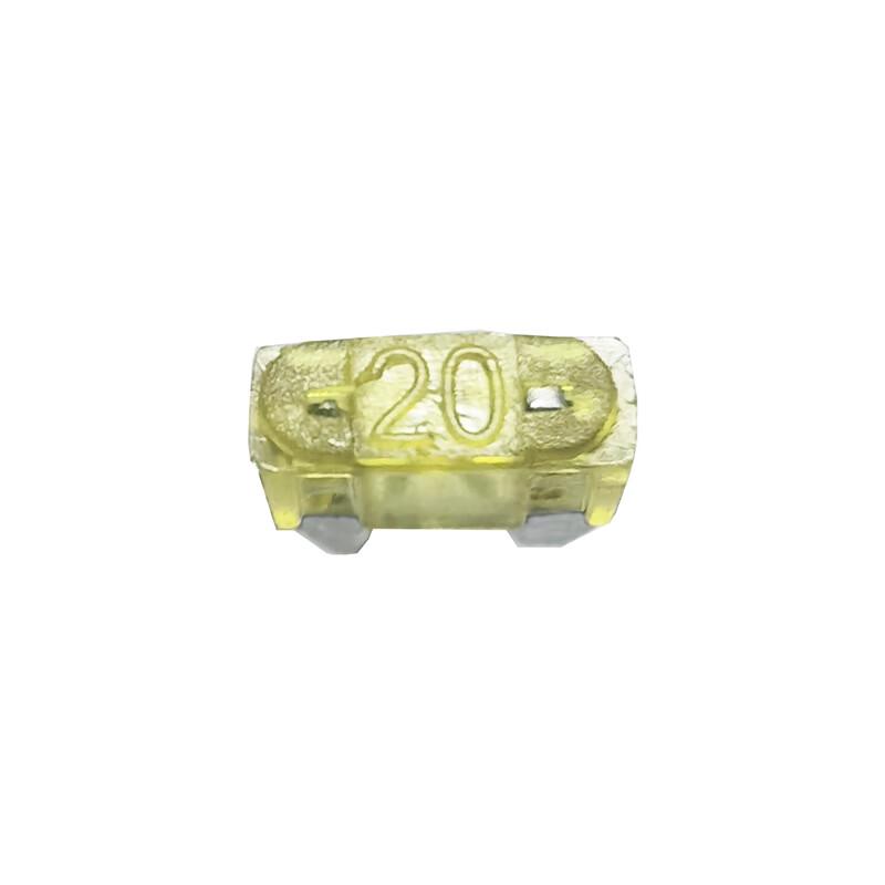Waldemar 20A Automotive Fuses