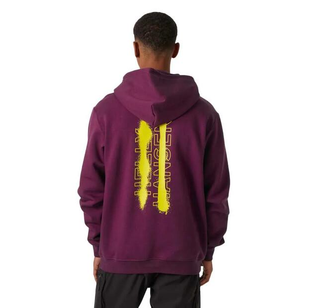 Helly Hansen Graphic худи