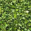 High Quality Yunnan Moringa Leaf Dried Leaf Powder 500g