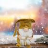 Graduation Season Gnome Doctorial Hat School Office Birthday Holiday Party