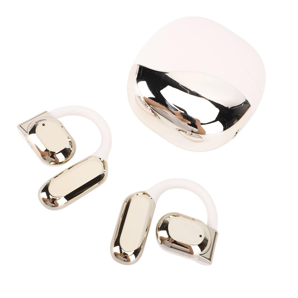 Translation Earbuds Earhook Active Noise Reduction Wireless   AI Language Translator Earbuds