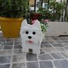 Creative Pet Cat Dog Flower Pot for Garden Courtyard Decoration