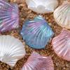 10pcs 20pcs Colorful Resin Shell Beads Jewelry Making Plastic Ocean Loose Spacer Bead DIY Holiday Bracelet Necklace Accessories