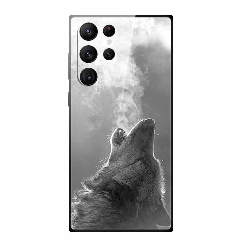 Gehärtetes Glas Case Für Samsung Galaxy S25 Ultra Case S 25 Ultra Hartes Rückseiten Cover Weicher Stoßfänger Für Samsung S23 S22 S24 Ultra Case