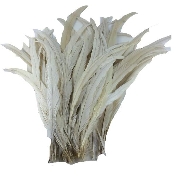 Nature Rooster Coque Tails Feathers Costume Craft Decoration 12-14inch Pack of 25 (black)