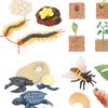The World of Nature with Interactive STEM Toy Set