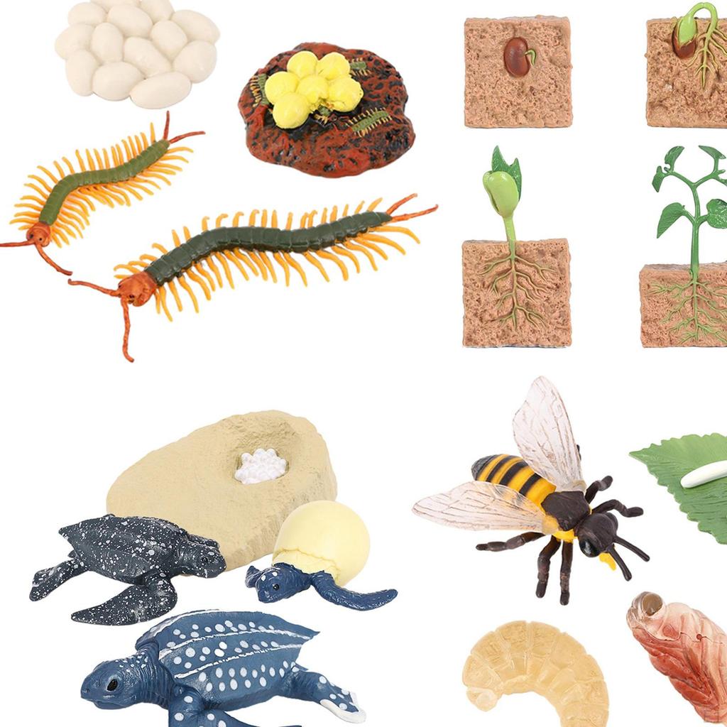 The World of Nature with Interactive STEM Toy Set