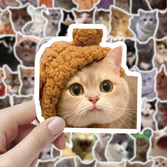 100 Pcs Cute Cat Stickers for Kids Boys Girls Waterproof Cat Meme Decals for Laptop Skateboard Luggage Car Bumper Water Bottle Decor