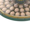 OLOEY Small Automatic Smart Incubator