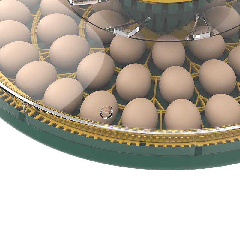 OLOEY Small Automatic Smart Incubator