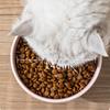 Ceramic Color-Blocked Pet Bowl Elevated Cat Bowl Protects Cervical Vertebrae Pet Supplies