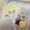 STRAY KIDS 7/26 Kids Concert First Act Concert Admission Gift: Poifuru Set Used