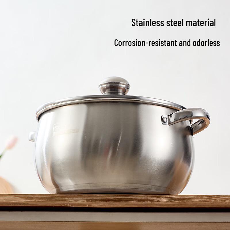 DUTRIEUX Apple Shape Stainless Steel Soup Pot