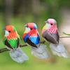 6PCS Multicolor Artificial Birds Foam DIY Accessories Simulation Bird Model Photo Props with Clips Decorative Birds