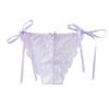 Full Lace Pure Desire Sexy Transparent Panties Thin Strap Low Waist Triangular Women's Panties