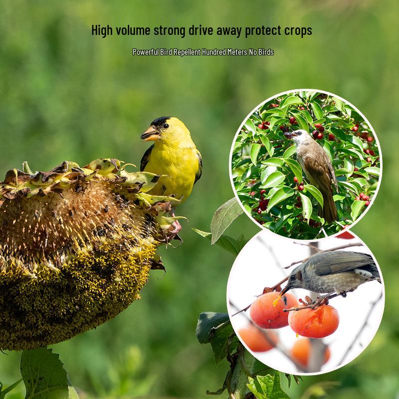 Solar Animal Repellent: Light, Sound, and Timer Alarm for Protecting Rice Fields and Orchards