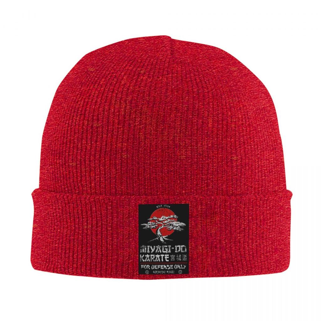 Karate Logo Warm Knitted Cap Fashion Bonnet Hat Autumn Winter Outdoor Beanies Hats for Men Women Adult