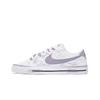 Court Legacy Explosive Plan, Zi Wei Star Abrasion Resistant Low Top Skateboard Shoes Unisex Light Purple DH3162-100(Team522-)