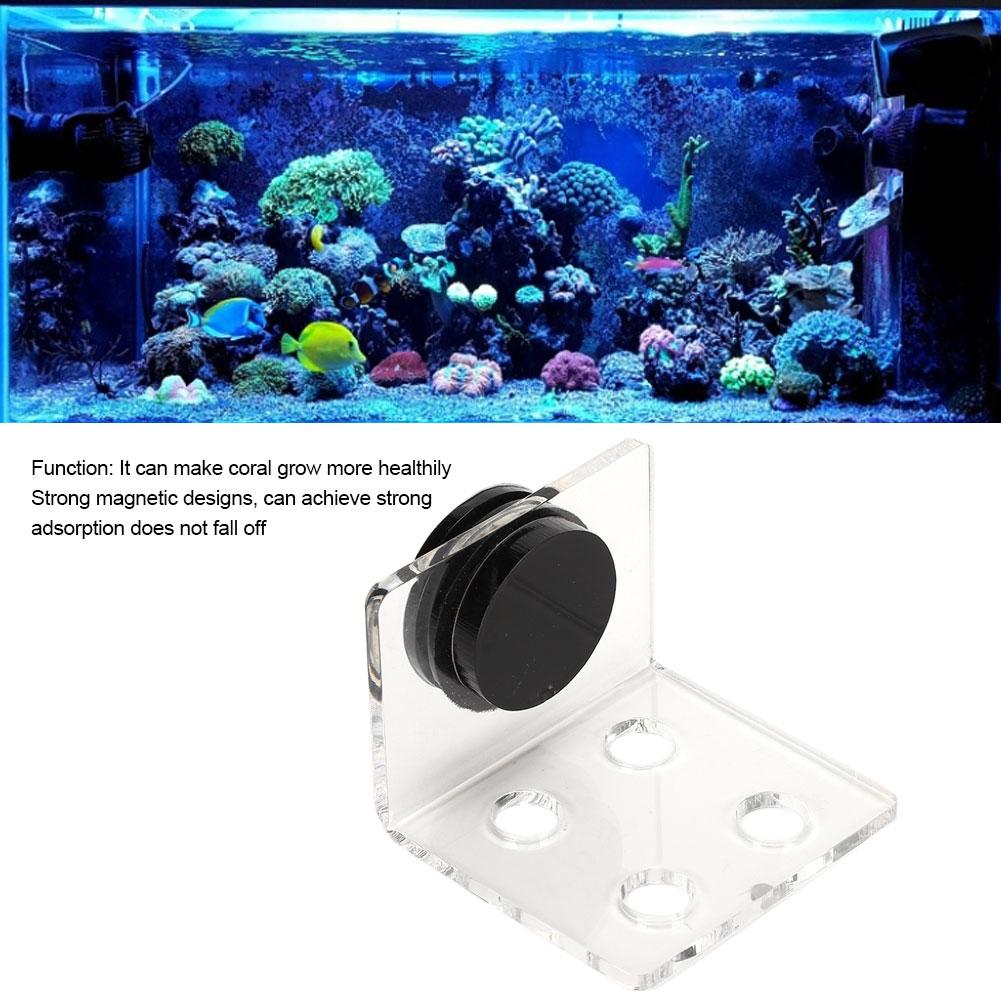 Acrylic Coral Rack Coral Rack Coral Bracket Aquarium Fish  Coral Rack Bracket Acrylic Strong Suction Coral Frag Rack Bracket