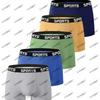 Kalsonger – Boxers
