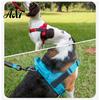 Reinforced Stitching Pet Body Harness No Pull Dog Harness, Adjustable Nylon Vest with Handle, Breathable Ergonomic Chest Protector for Walking