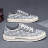 Summer new 2025 fashion versatile personalized men's shoes campus style niche design student shoes outdoor skateboard shoes