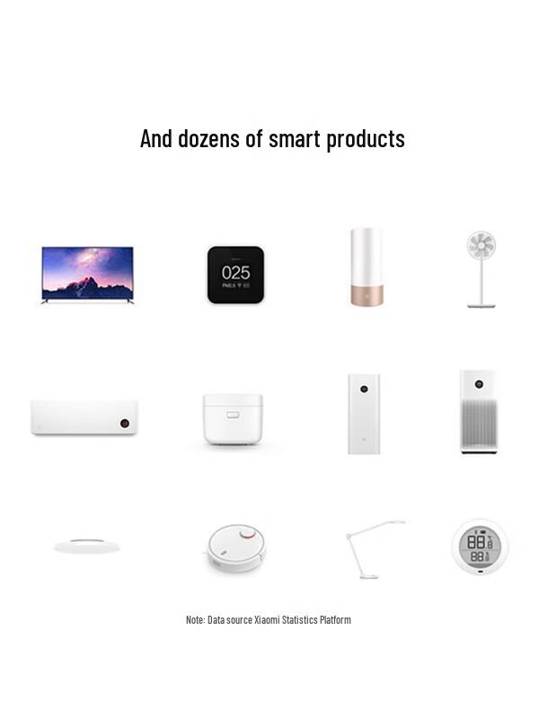 Xiaomi Xiaoai Smart Speaker Play