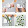10Pcs/Set Adorable Snail Shape Plant Fixed Clip Good Clamping Wall Mounted Plastic Plant Holder Clip for Home