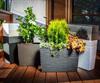 KADAX Flowerpot Flowerpot + Insert Garden Flowerpot Tall Terrace 19x56cm